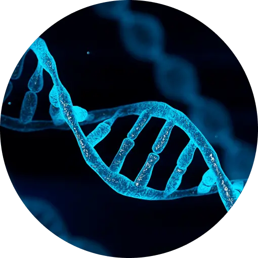 Digitized image of a double helix.